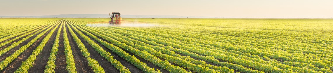 Crops planted in a row